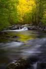 Tennessee Great Smoky Mountains National Park-Little River Art Print